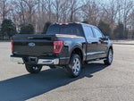 2022 F-150 Thumbnail 4