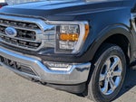 2022 F-150 Thumbnail 10