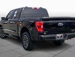 2023 F-150 Thumbnail 12