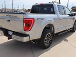 2023 F-150 Thumbnail 5