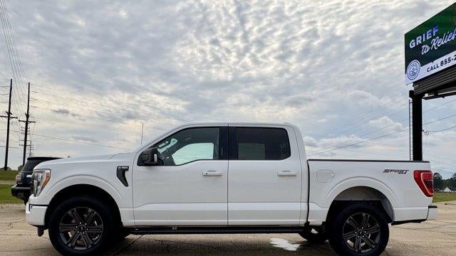 Preowned 2023 Ford F-150 XL for Sale