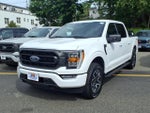2023 F-150 Thumbnail 3