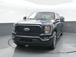 2023 F-150 Thumbnail 17