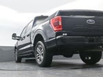 2023 F-150 Thumbnail 18