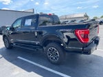 2023 F-150 Thumbnail 4