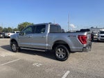 2023 F-150 Thumbnail 3