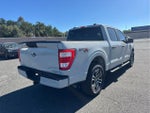 2023 F-150 Thumbnail 5