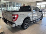 2023 F-150 Thumbnail 3