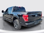 2023 F-150 Thumbnail 4
