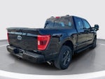 2023 F-150 Thumbnail 5