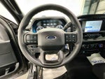 2023 F-150 Thumbnail 11