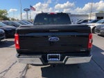 2023 F-150 Thumbnail 6