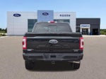 2023 F-150 Thumbnail 4