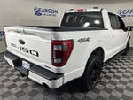 2023 F-150 Thumbnail 4