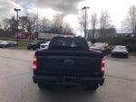 2023 F-150 Thumbnail 4