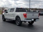 2023 F-150 Thumbnail 4