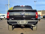 2023 F-150 Thumbnail 6