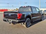 2023 F-150 Thumbnail 9