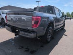 2023 F-150 Thumbnail 5
