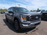 2023 F-150 Thumbnail 3