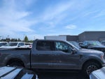 2023 F-150 Thumbnail 4