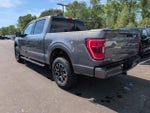 2023 F-150 Thumbnail 7