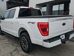 2023 F-150 Thumbnail 8