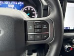 2023 F-150 Thumbnail 20