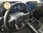 2023 F-150 Thumbnail 14