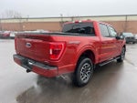 2023 F-150 Thumbnail 5