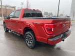 2023 F-150 Thumbnail 7
