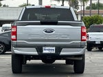 2023 F-150 Thumbnail 5