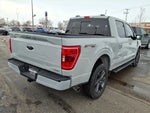 2023 F-150 Thumbnail 4