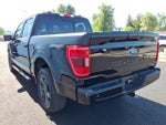 2023 F-150 Thumbnail 4