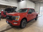 2023 F-150 Thumbnail 9