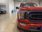 2023 F-150 Thumbnail 12