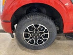 2023 F-150 Thumbnail 13