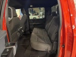 2023 F-150 Thumbnail 16