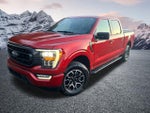 2023 F-150 Thumbnail 2