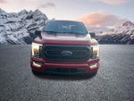 2023 F-150 Thumbnail 4