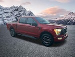 2023 F-150 Thumbnail 5