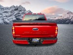 2023 F-150 Thumbnail 8