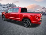 2023 F-150 Thumbnail 10
