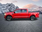 2023 F-150 Thumbnail 11