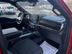 2023 F-150 Thumbnail 18