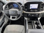 2023 F-150 Thumbnail 3