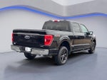 2023 F-150 Thumbnail 10