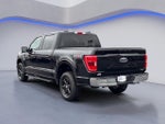 2023 F-150 Thumbnail 11