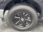 2023 F-150 Thumbnail 13