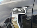 2023 F-150 Thumbnail 17